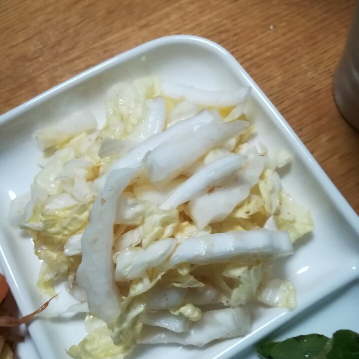 スタミナ白菜サラダ